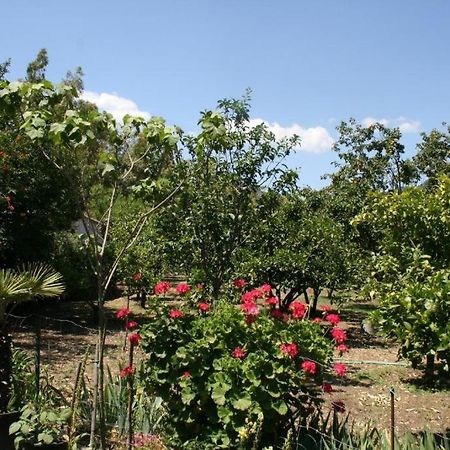 Casa Campagna Hotel Castiadas Luaran gambar
